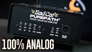 Video thumbnail for Don’t Buy a Modeler Until You See This: Bad Cat Purepath Demo by Palen Music Center