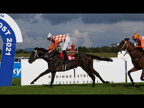 ŽIVĚ 🔴 | dostihy Most – 27. 8. 2022