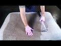 Oddly Satisfying on How to Clean a Dirty Dog Bed | For Clean Sake ASMR