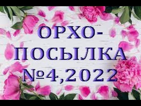 Орхо-посылка №4,2022!!!