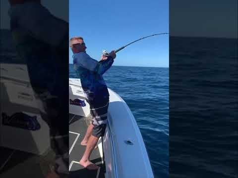 Wildside Sportfishing