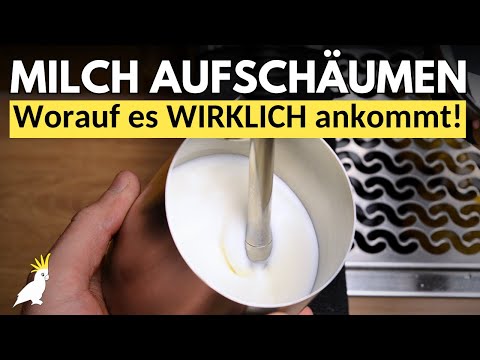 Do this! And you'll achieve perfect milk foam with any portafilter machine