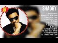 Shaggy Greatest Hits Best Songs Music Hits Collection Top 10 Pop Artists Of All Time