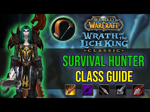 WOTLK CLASSIC - SURVIVAL HUNTER GUIDE! - Talents, Rotation & More
