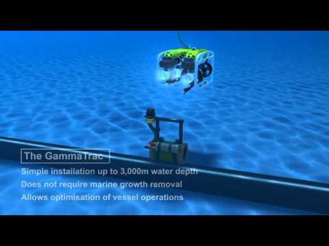 Piggyship Tracking