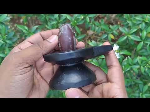Narmadeshawara Lingam with Yonibase (Mahashivratri) video