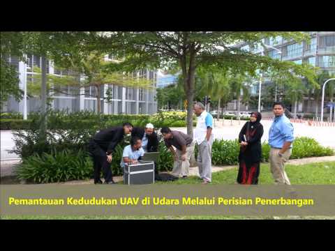 An Oil Palm Plantation with Two Drones