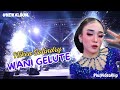 NIKEN SALINDRY LAGU TERBAIK 2024 SIA SIA MENGHARAP CINTAMU FULL ALBUM