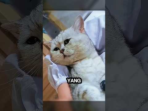 takut kehilangan😿