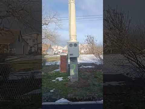 room to  market serbia by bus