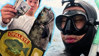 Getting paid to go Spearfishing