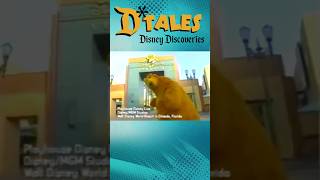 Download lagu Playhouse Disney | Bear in the Big Blue House: Live on Stage | Disney MGM Studios, Walt Disney World mp3