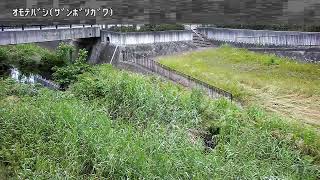 表橋映像監視局