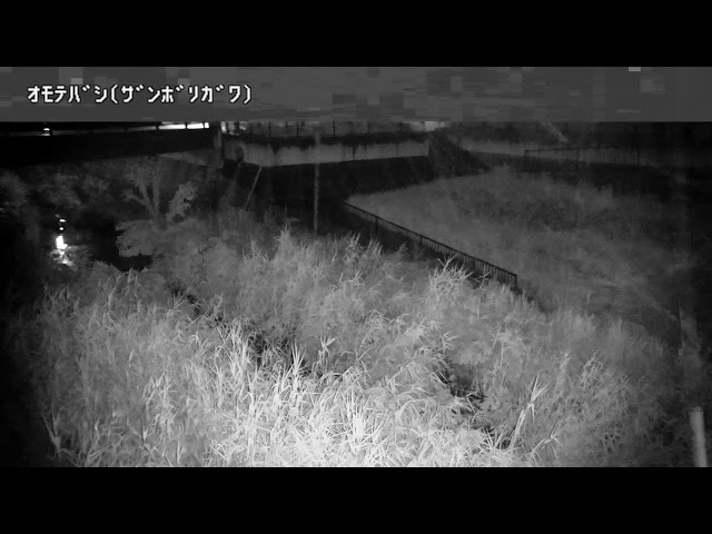 表橋映像監視局