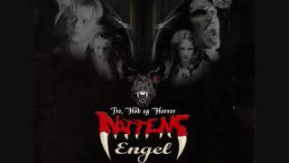 #03 Simpatico (D-A-D) - Soundtrack Nattens Engel.wmv