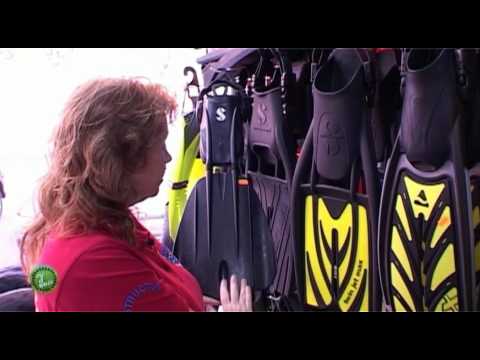 download lagu mp3 mp4 Equipo De Buceo, download lagu Equipo De Buceo gratis, unduh video klip Equipo De Buceo