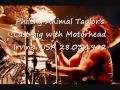 Motörhead - The One To Sing The Blues (Philthy ...