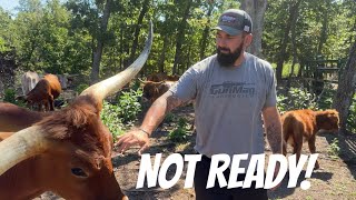 He was NOT ready! @DossFarm 