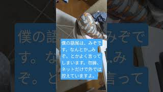 僕の語尾　みぞ
