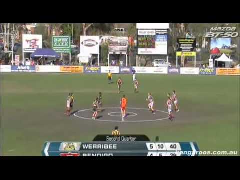 VFL: August 10, 2011 - Werribee highlights