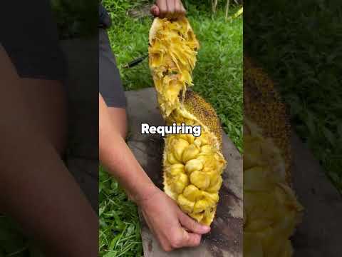 My parents made a point system we earn the right to stay in the family and my sister is losing.