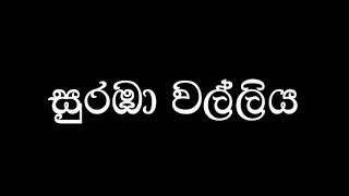 Download lagu සුරඹා වල්ලිය❤️🙏 mp3