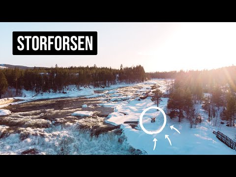 DER SCHÖNSTE ORT NORDSCHWEDENS? - Ein Tag am STORFORSEN WASSERFALL (mit Lagerfeuer)