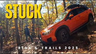 Rigs & Trails 2025: Slick Trails, 4x4 Recoveries & a Mega-Truck Ride!