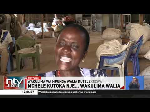 Wakulima waghadhabishwa na hatua ya serikali kuruhusu uagizaji wa mchele kutoka nje ya nchi