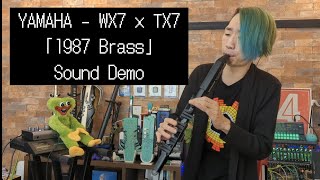 Video thumbnail for YAMAHA WX7 & TX7 / Sound demo 「1987 Brass」Session by BANANA su