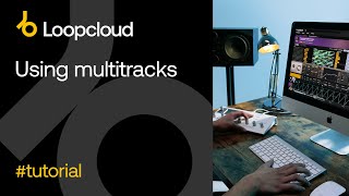 Video thumbnail for Using Multitracks - Loopcloud 6 by Loopcloud