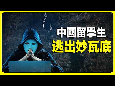 揭秘緬北電詐園區，《孤注一擲》電影背後的真實故事，留學生被騙如何自救。