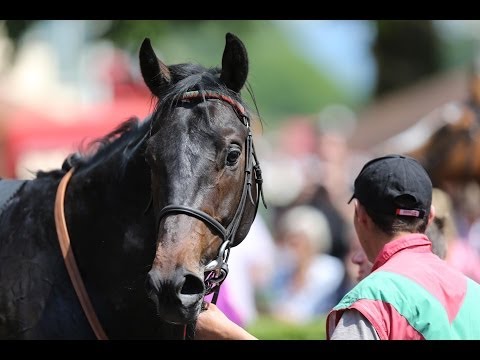 Dresden: bwin Sachsen Preis (Listenrennen) - Sieger: Bermuda Reef