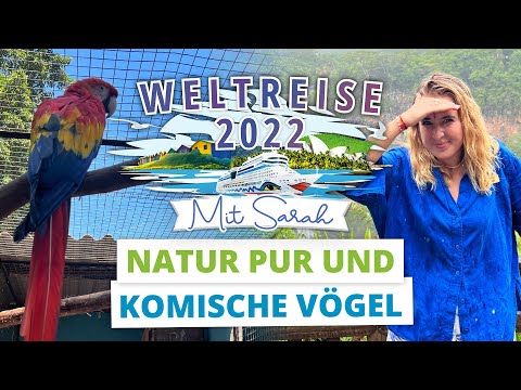 Vlog Nr. 14 | Weltreise mit AIDAmar