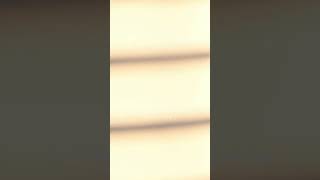 Download lagu VIBE Taeyang ft Jimin of BTS English lyrics ✨. mp3