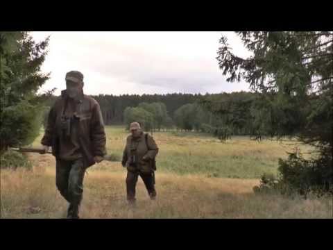 Alter abbnormer Hirsch erlegt!