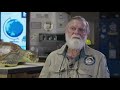 Meet Col Limpus The Original Turtle Hatchery Crusader