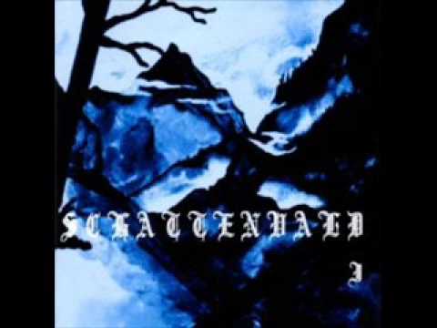 Schattenvald I - Das alte Haus im wilden Wald