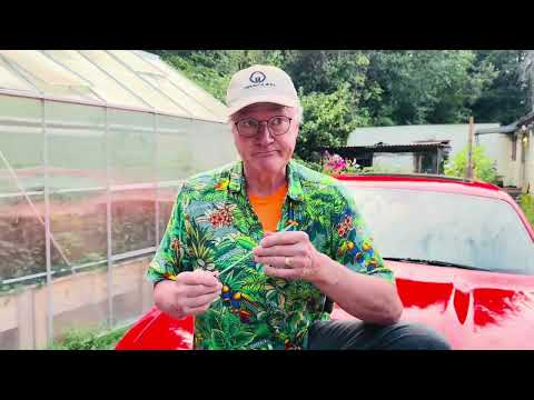 P320 Testing - FBI Report & Striker Safety Lock Test