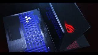  Don't Miss These in Action! 