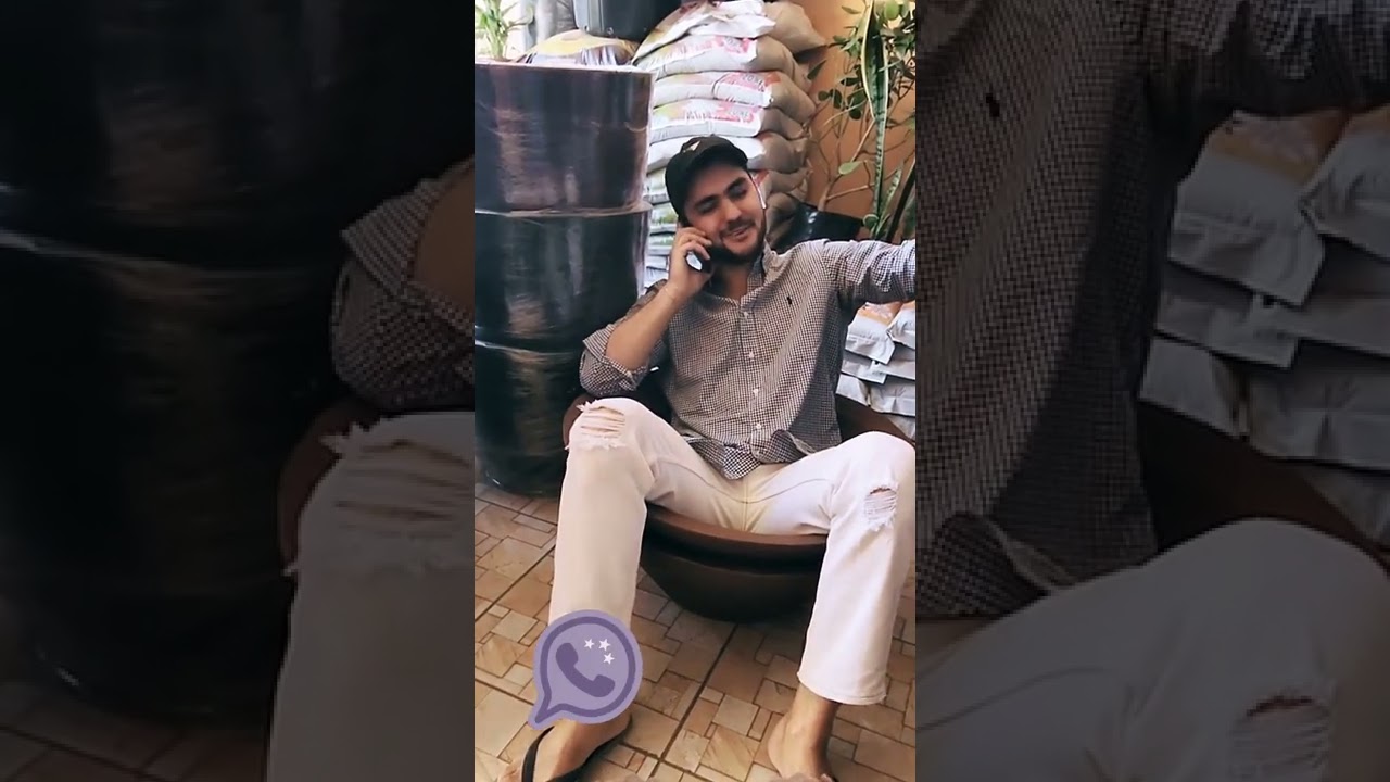 Vasos de polietileno BH