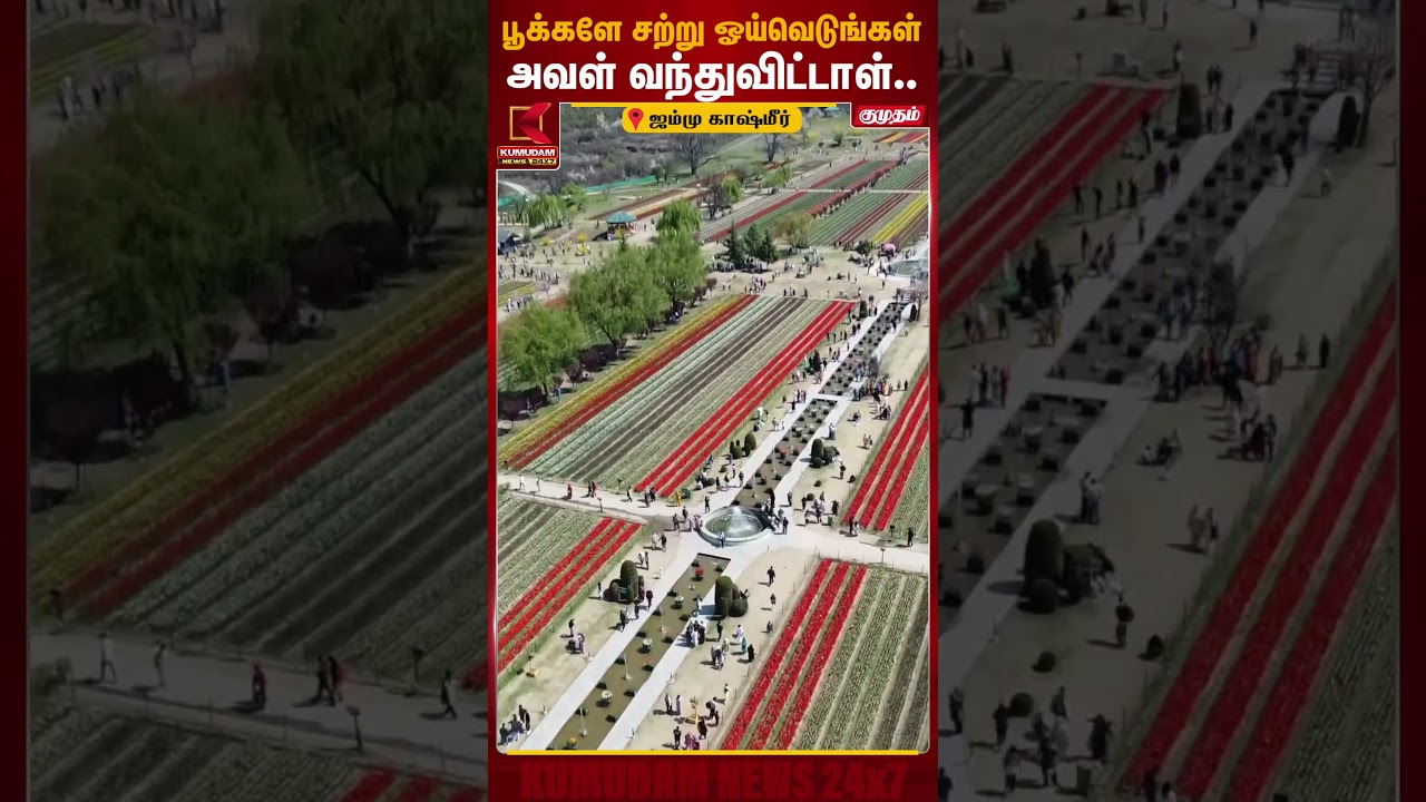 ஆசியாவின் மிகப்பெரிய துலிப் பூங்கா - பதற்றத்திலும் சுற்றுலா வரவேற்பு | Jammu & Kashmir |Kumudam News