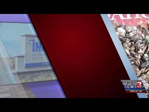 9PM Integrated Waste Treatment Unit