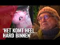 Twee dodelijke verkeersongelukken: jong meisje (6) en verkeersregelaar herdacht