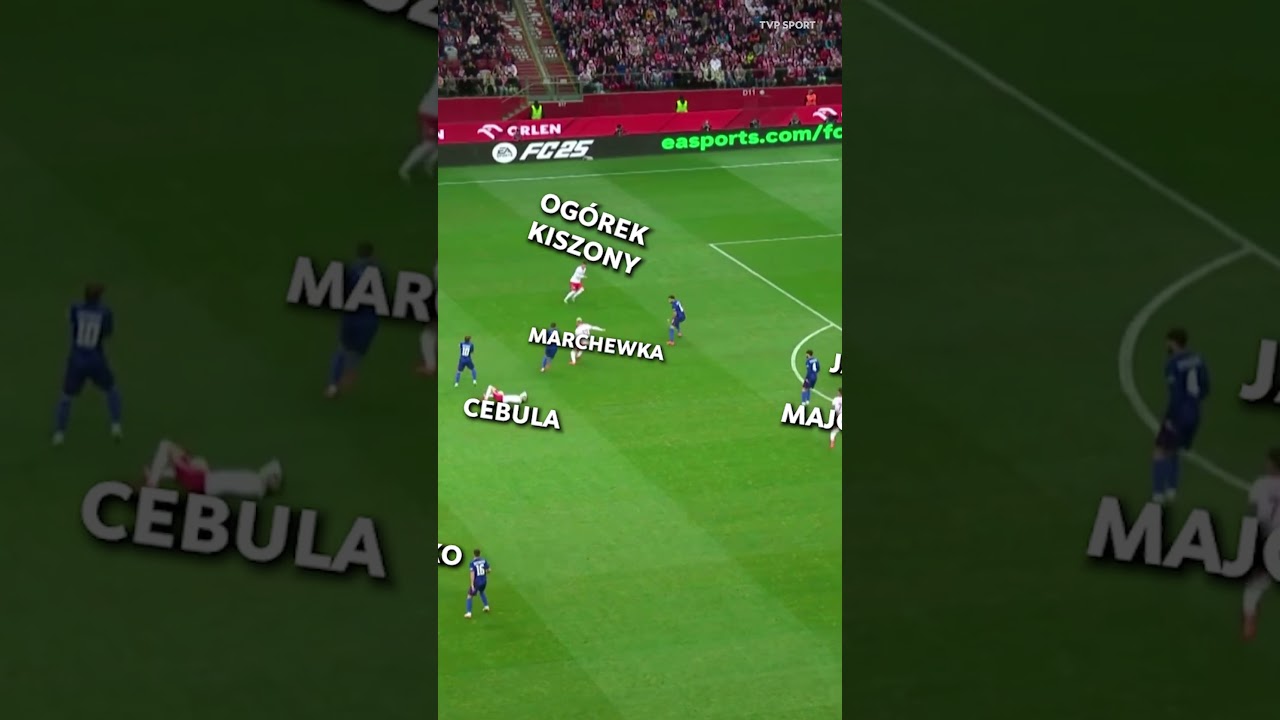 PIĘKNE PRZYRZĄDZENIE REPREZENTACJI POLSKI! #SHORTS