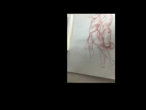 Time Lapse Drawing. After Jacopo Pontormo 1494-1556 STUDIES