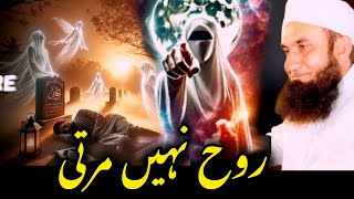 Download lagu Ruh Nahi Marti - Success Emotional Motivational Bayan- Maulana Tariq Jameel ۔ mp3 Download lagu Ruh Nahi Marti - Success Emotional Motivational Bayan- Maulana Tariq Jameel ۔ mp3