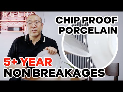 Porcelain plates vs ceramic plates | How to avoid chip damage | prolong service life for 5+years