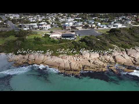 Sealife Restaurant and Cafe