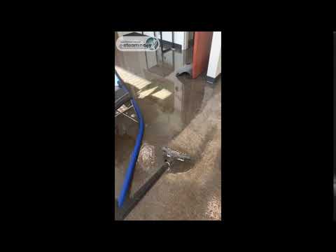 Amazing Powerful Extracting Flood Water from Carpet - Flood Restoration Auckland. Carpet Drying